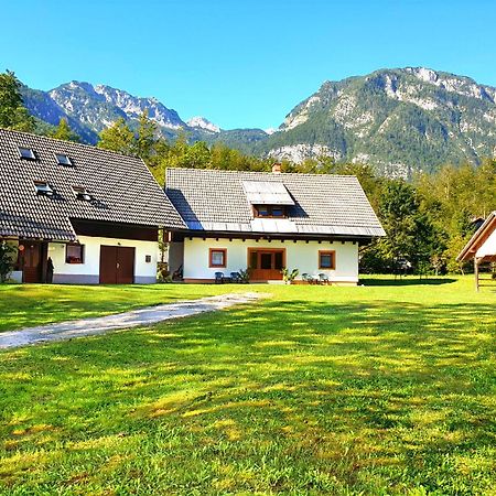 Apartmaji Zupanc Ivanka Бохінь Екстер'єр фото